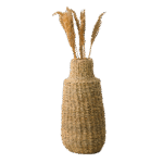 Vazo
