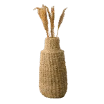Vazo