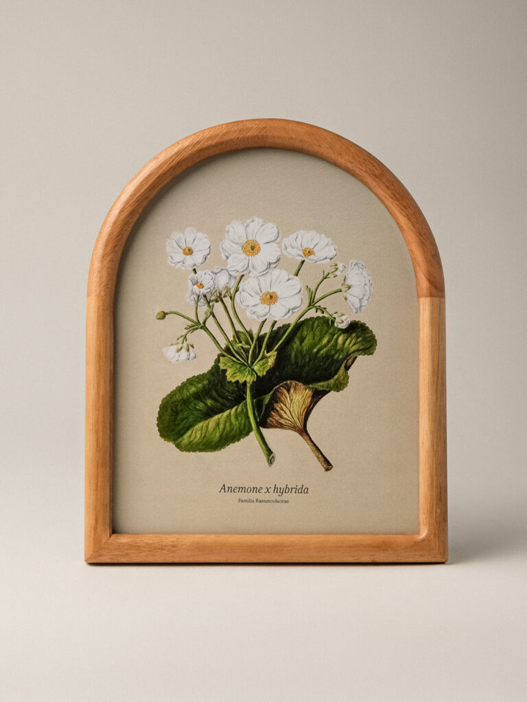 Virela Ahşap Çerçeve (20 x 25 cm)